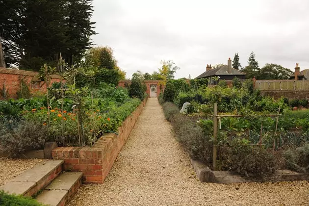 Kitchen Garden