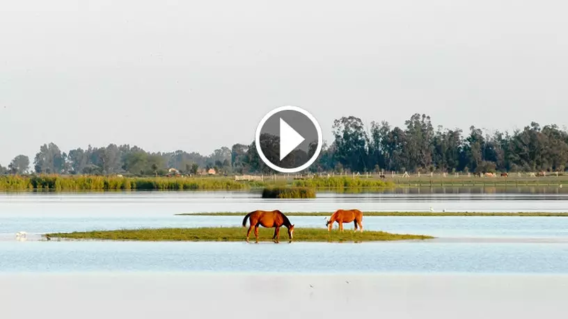 58 vecí, ktoré môžete robiť v Andalúzii raz za život