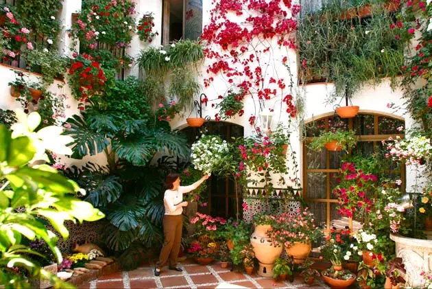 terrasse cordobs