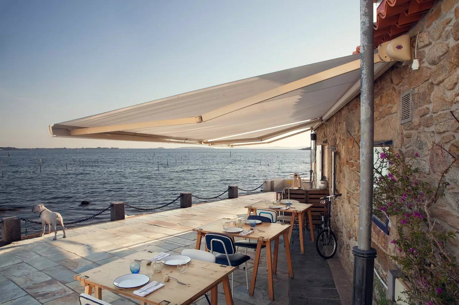 eat in front of the sea