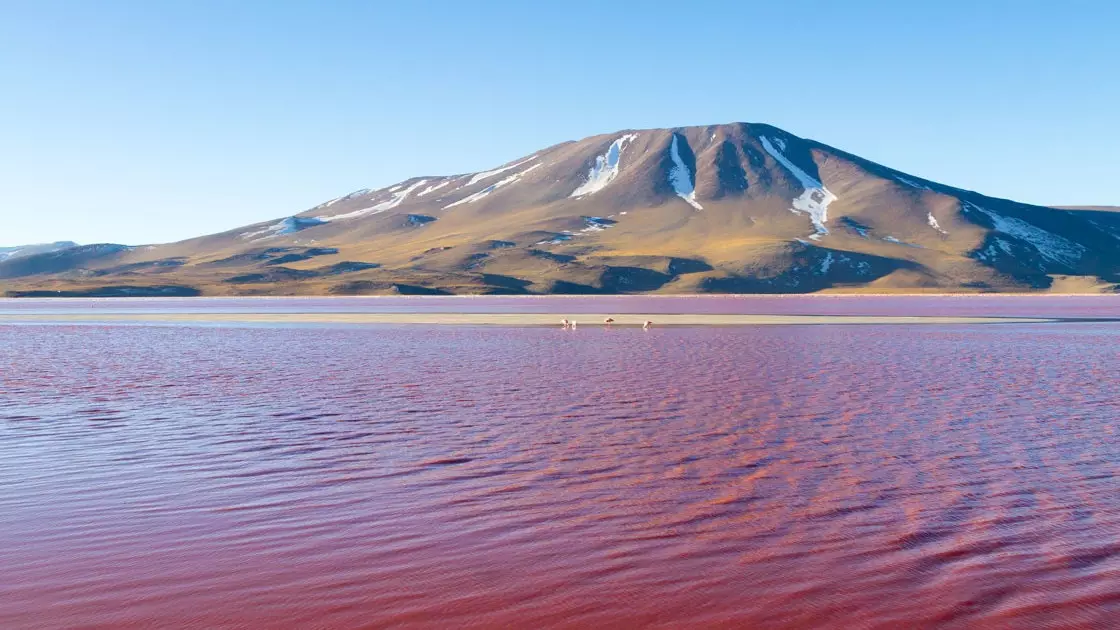 Guide til Bolivia med... Marsia Taha