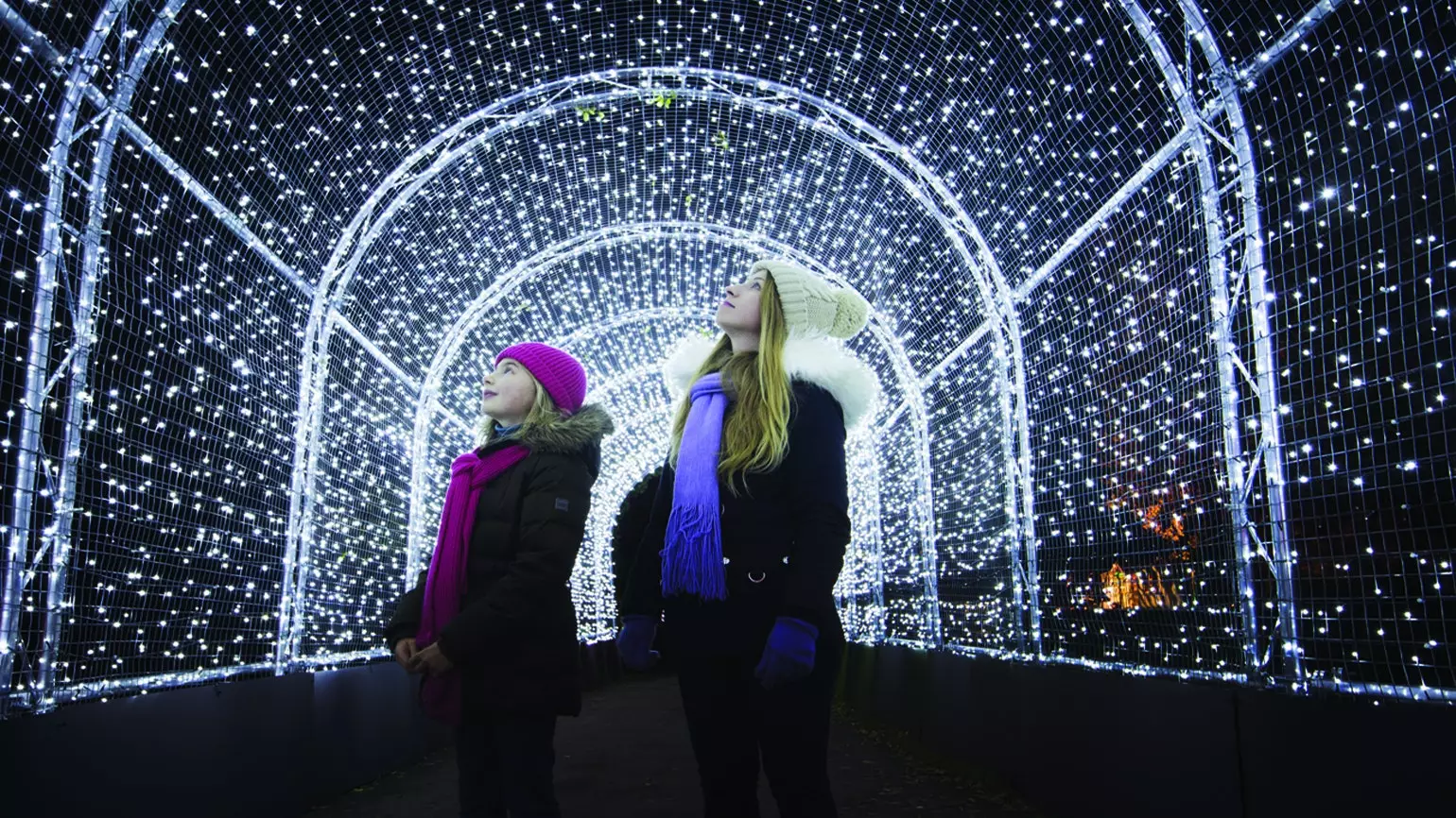 Christmas at Kew