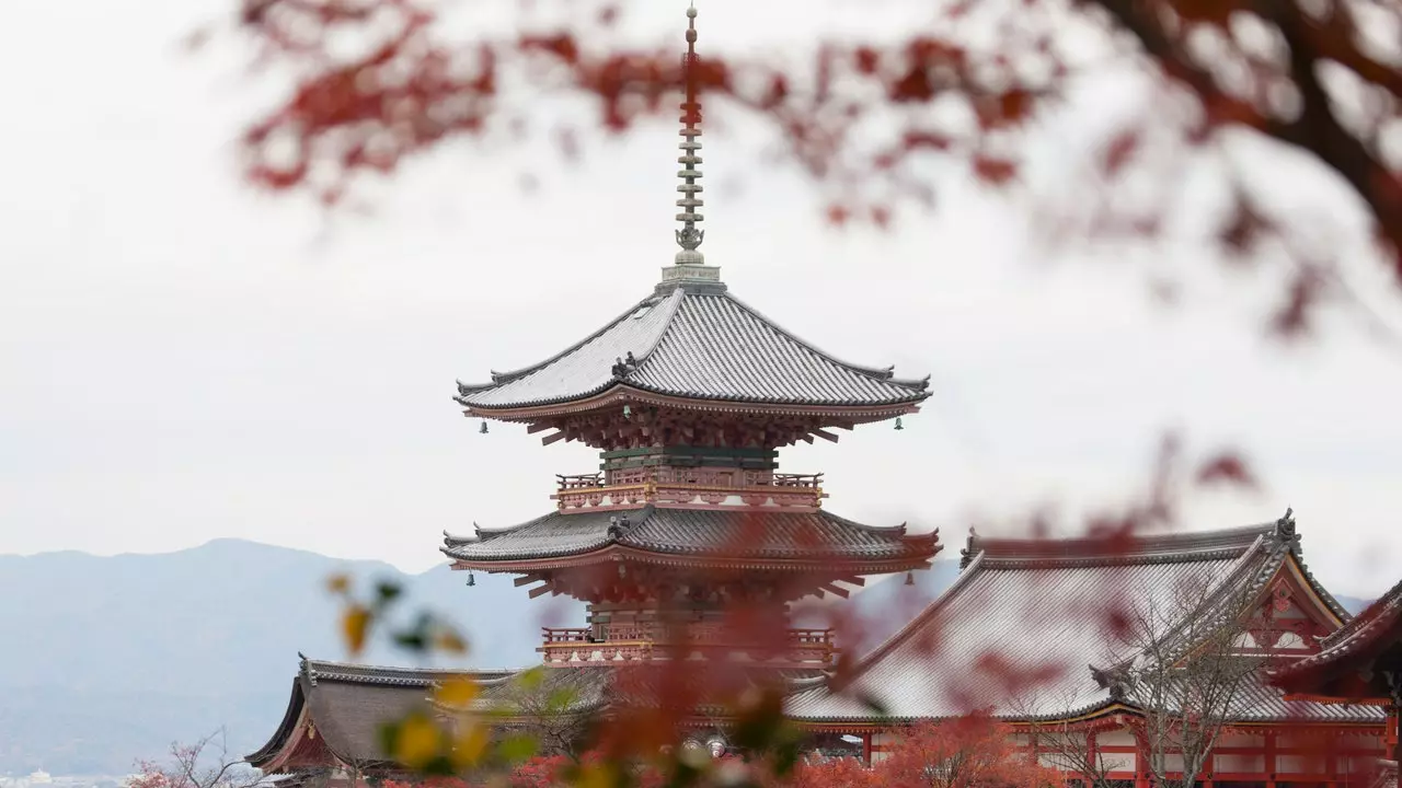 Grįžtame į Japoniją: šalis atveria sienas tarptautiniams turistams