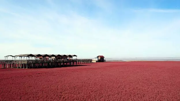 A praia mais incrível do mundo é vermelha