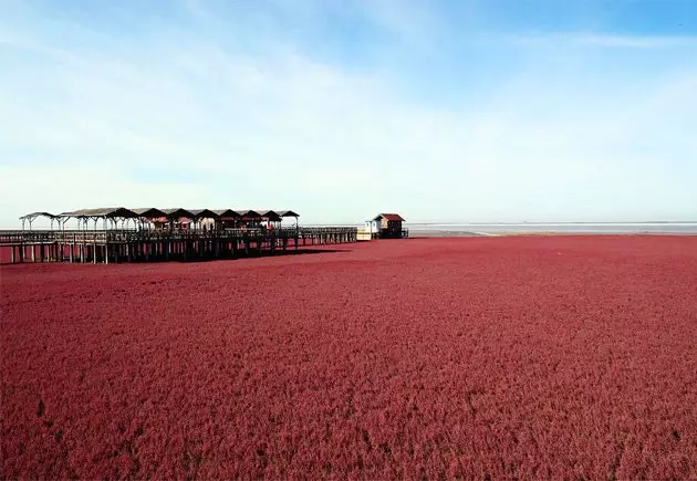 rød kina strand