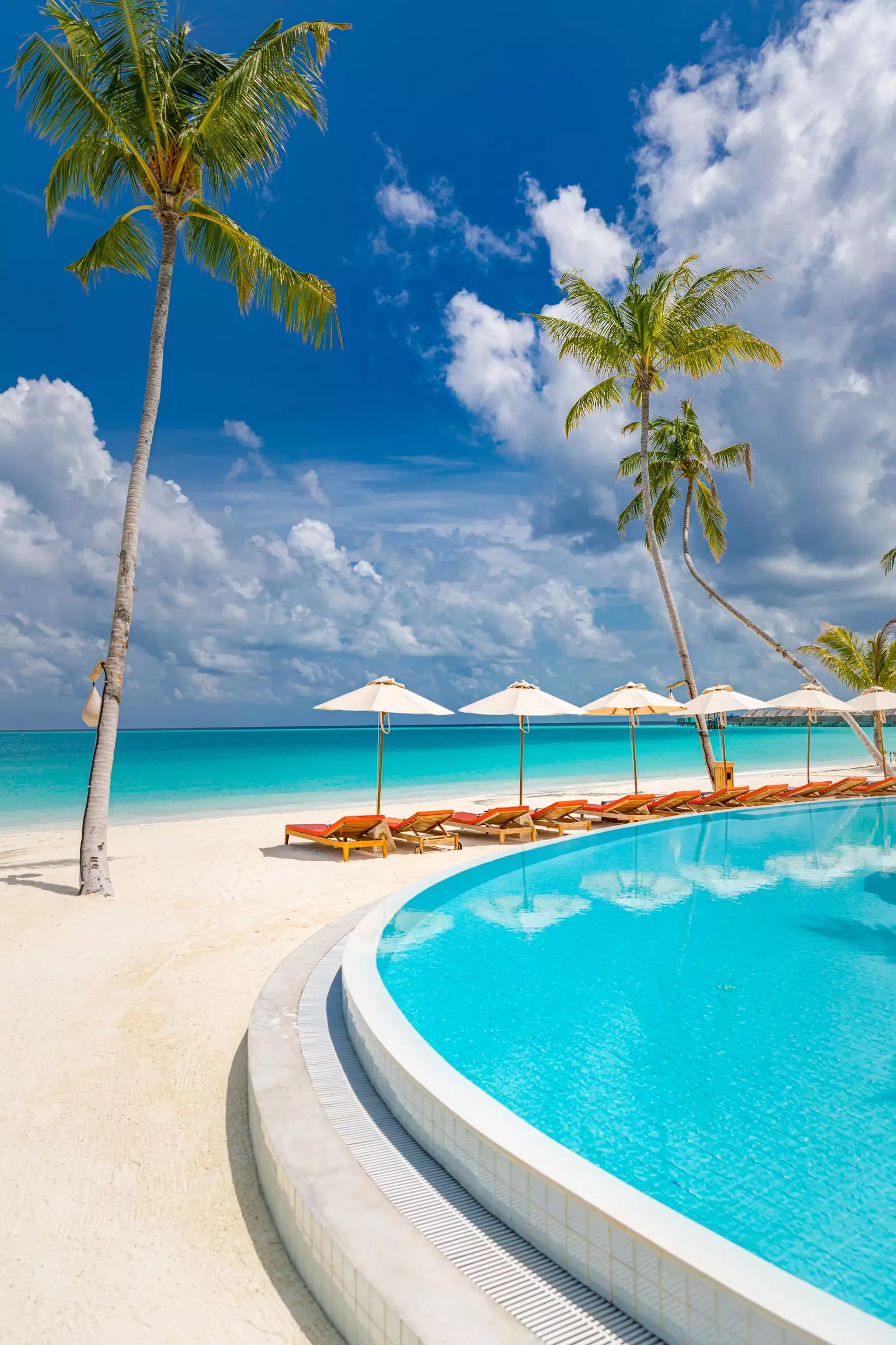 À beira da piscina em frente a espreguiçadeiras e guarda-sóis junto às águas azuis do mar em Sun Siyam Iru Veli Maldives.