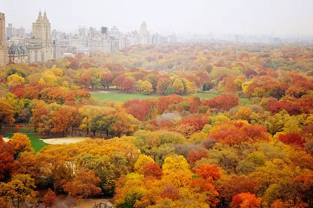 Έσωσε τις μυρωδιές του Central Park το φθινόπωρο του 2015