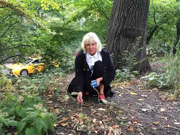 Annusa l'artista Sissel Tolaas a Central Park