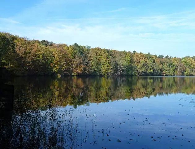 Kif dwar getaway lejn Lake Schlachtensee