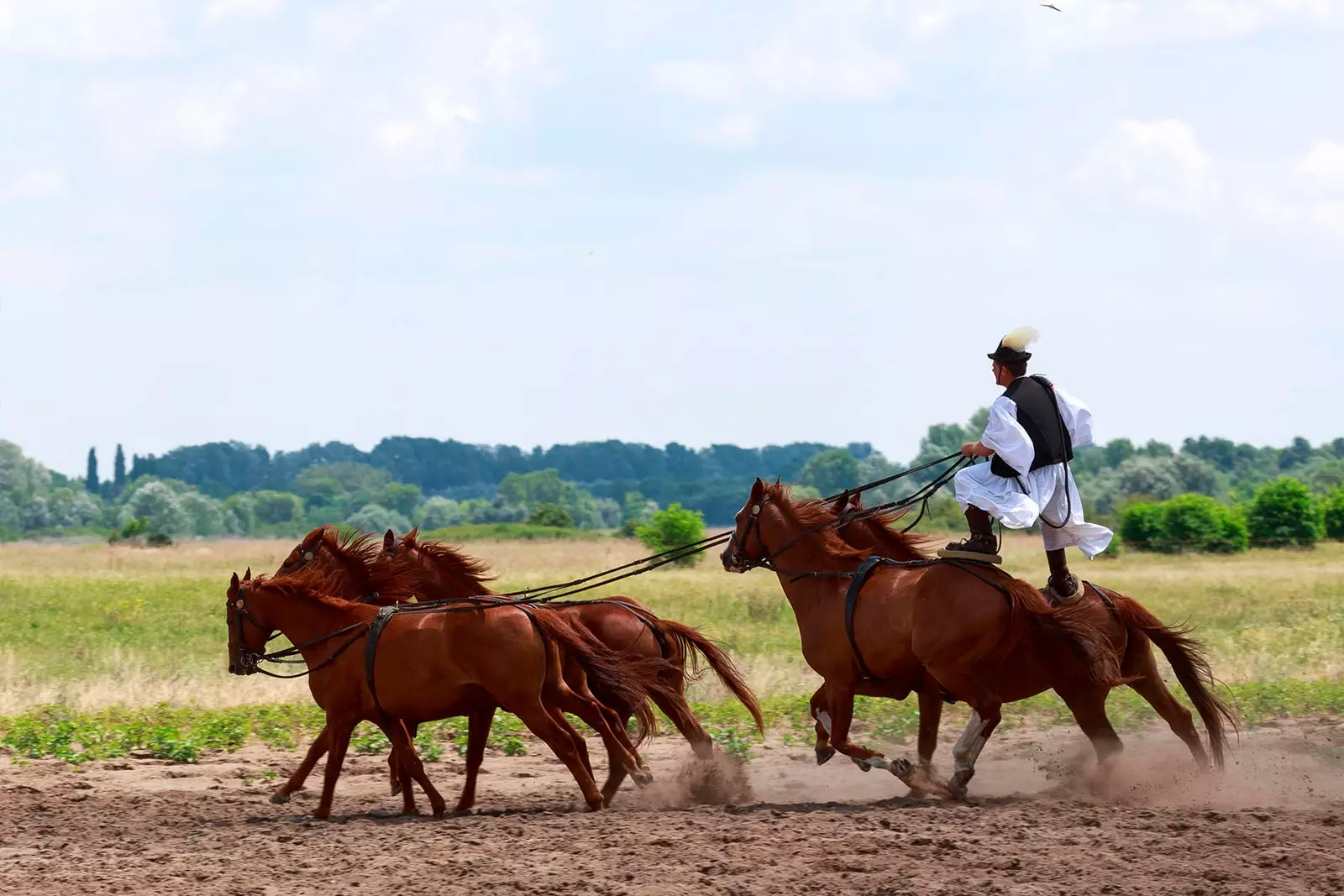 Penunggang kuda csikós tradisional Hortobgy