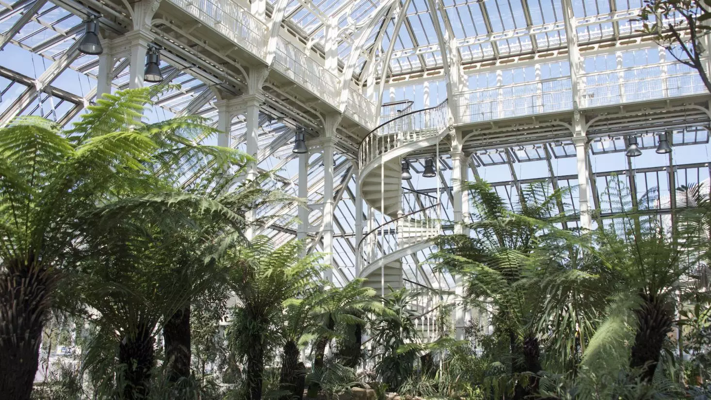 Temperate House