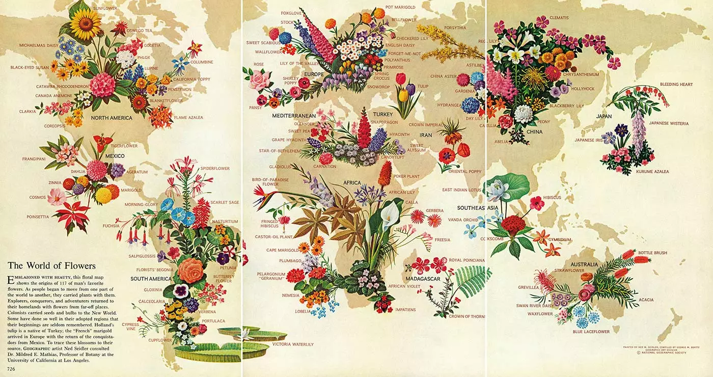 Bloemenrijkdom van de planeet