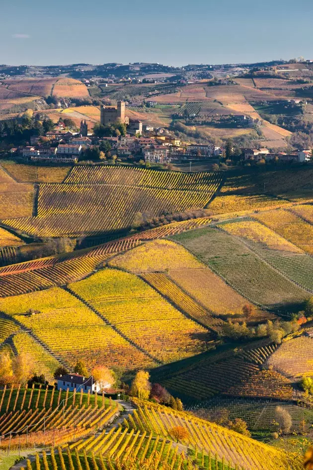 Piemonte vingårder