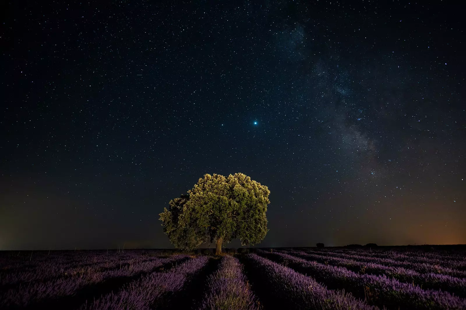 Ciel étoilé sur les champs de lavande de Brihuega Guadalajara