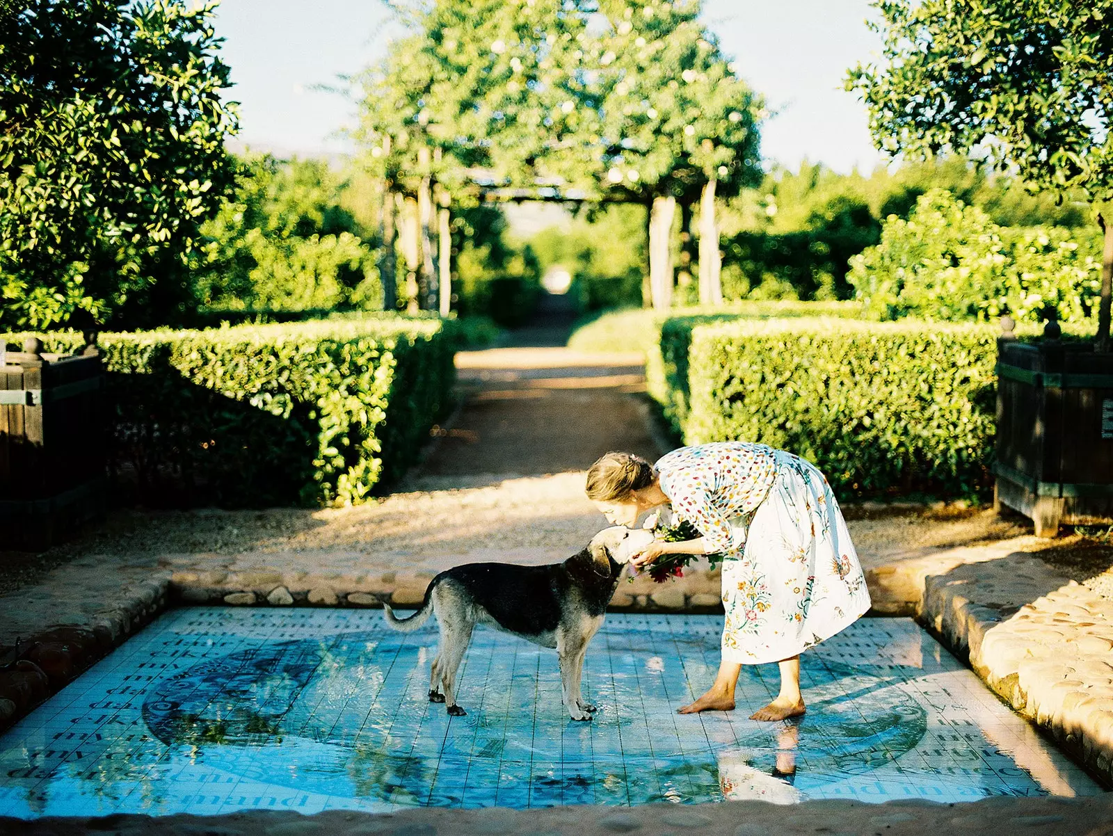 Photograph of the views of the Healing Garden.