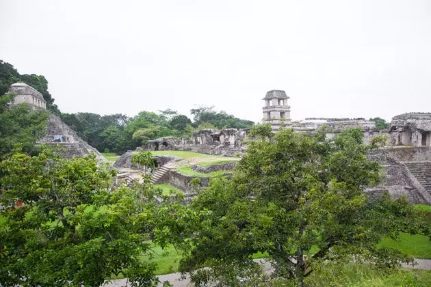 Mūsu paviljons būs kā Chiapas sajūta