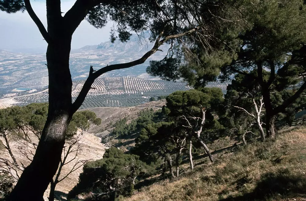 Sierra Mgina huit enclaves d'un Jan inconnu