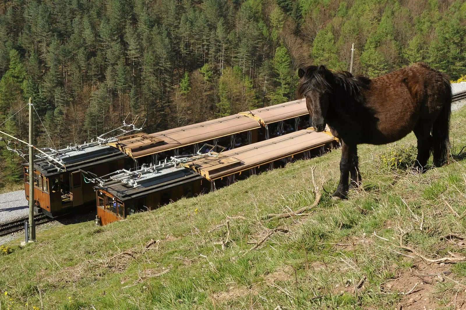 Le Train de La Rhune