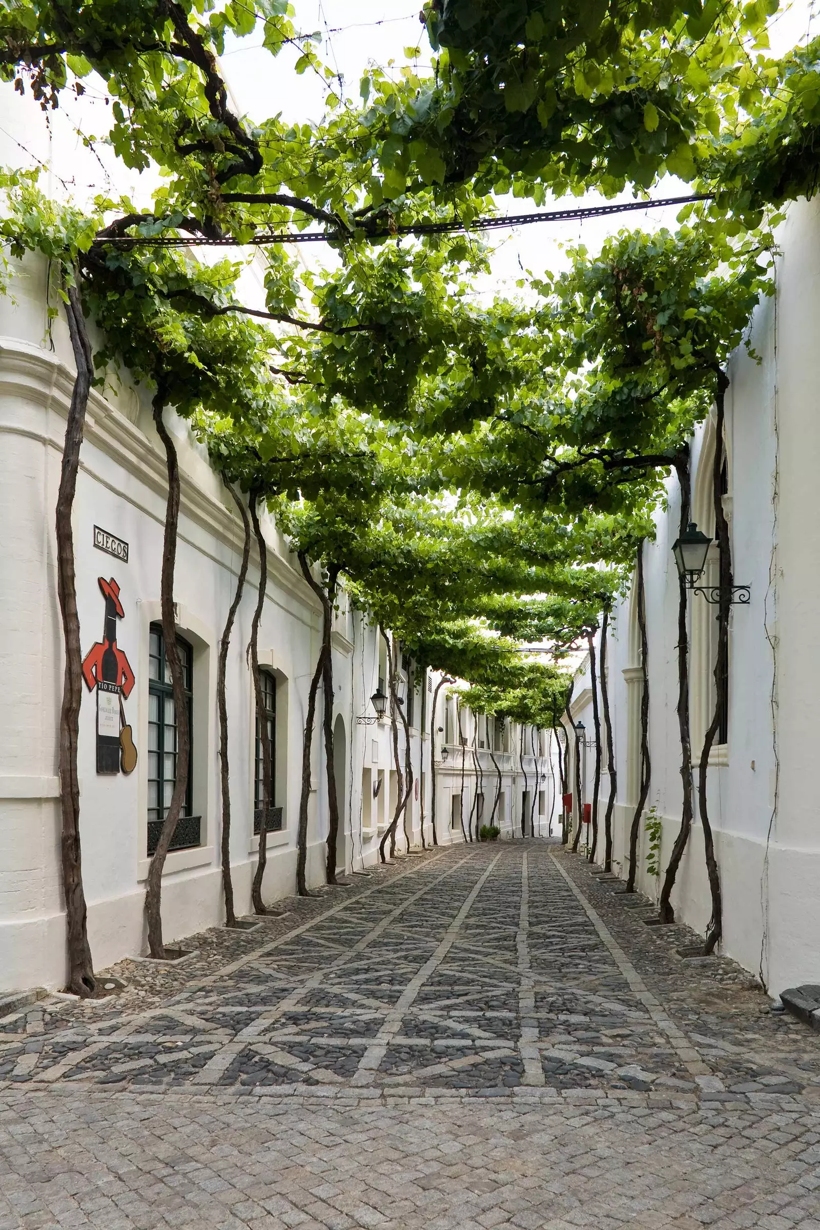 Blind Street in Tio Pepe Winery