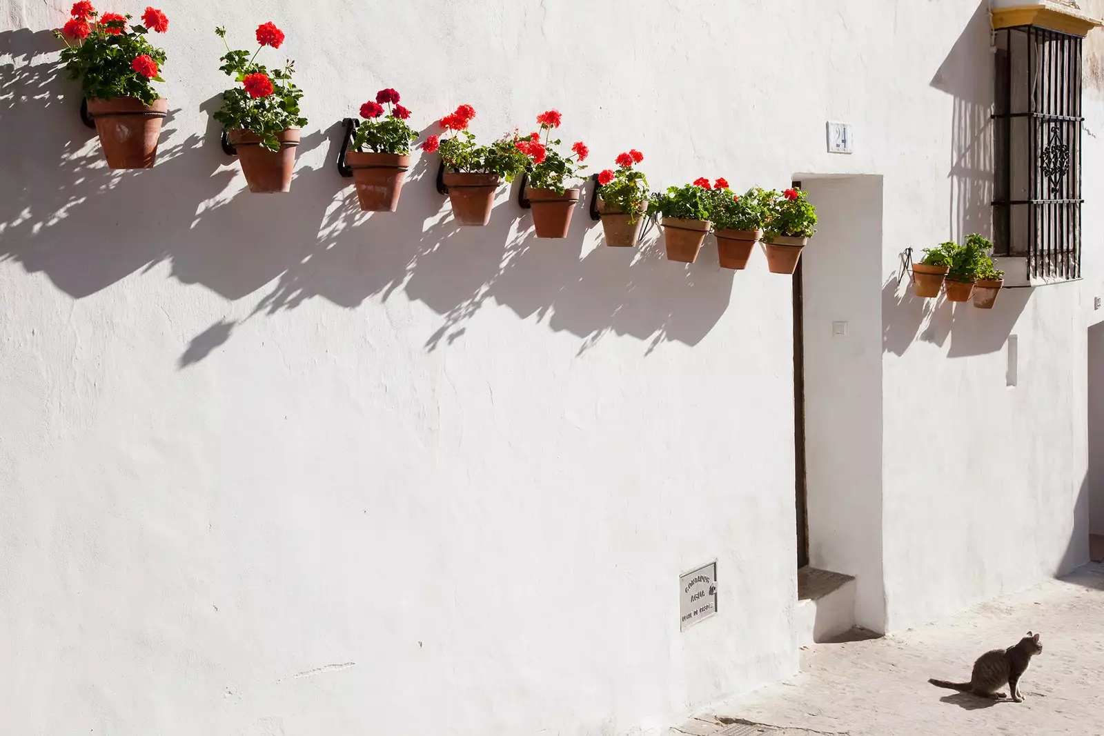 L'architettura degli imbiancati e delle finestre con i loro paraorecchie ad Arcos de la Frontera