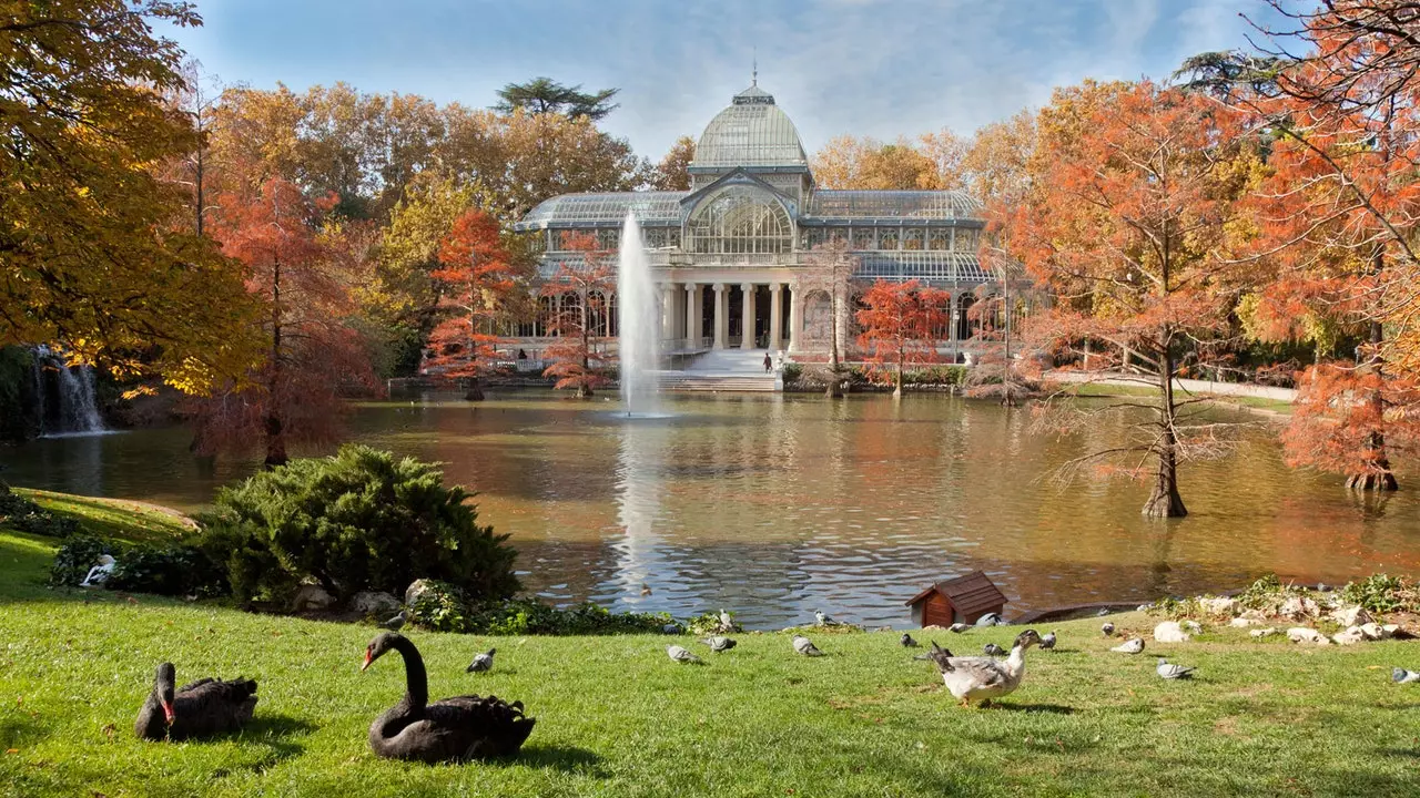 Mis je El Retiro? Bezoek parken in heel Spanje vanuit huis dankzij deze virtuele tours!