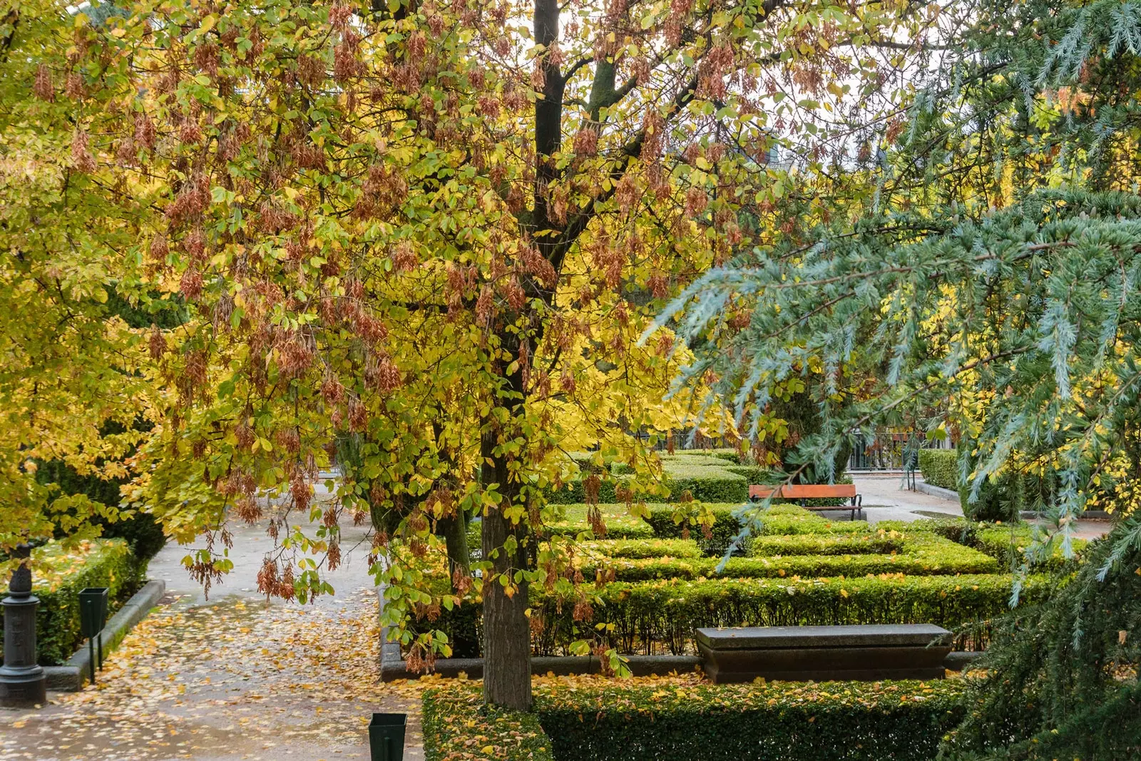 Sabatini Gardens