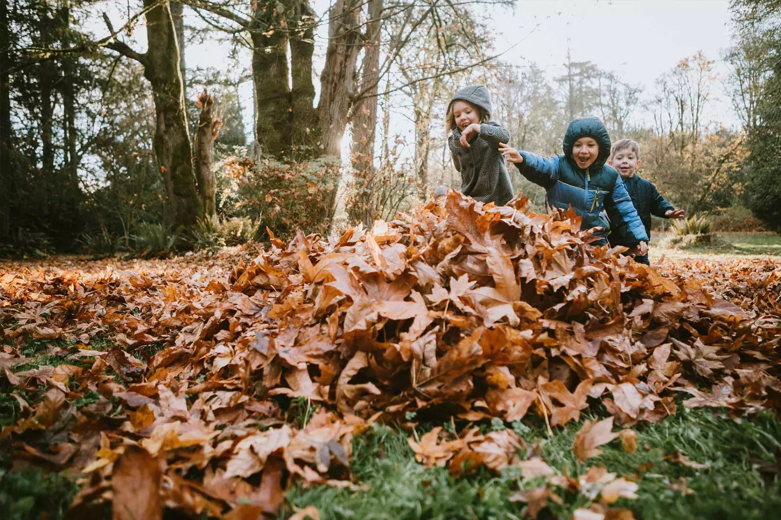 enfants jouant avec des feuilles sèches