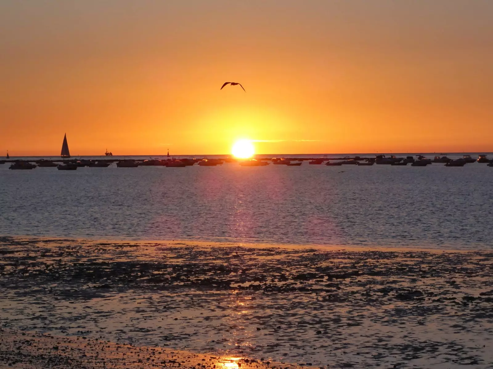 Το ηλιοβασίλεμα από το Sanlúcar de Barrameda