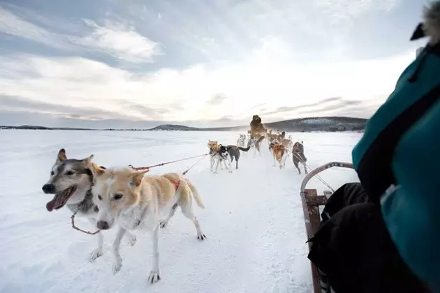 Het is niet zo koud in Lapland