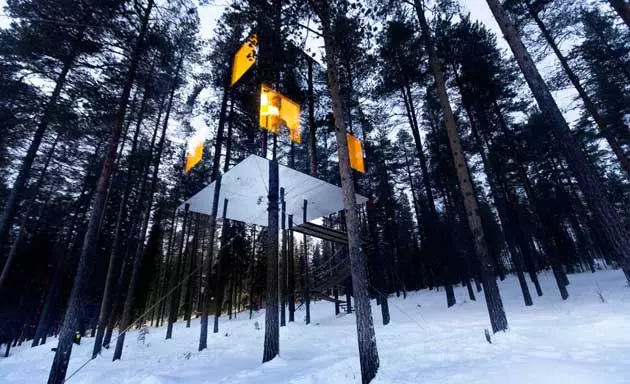 The Tree Hotel