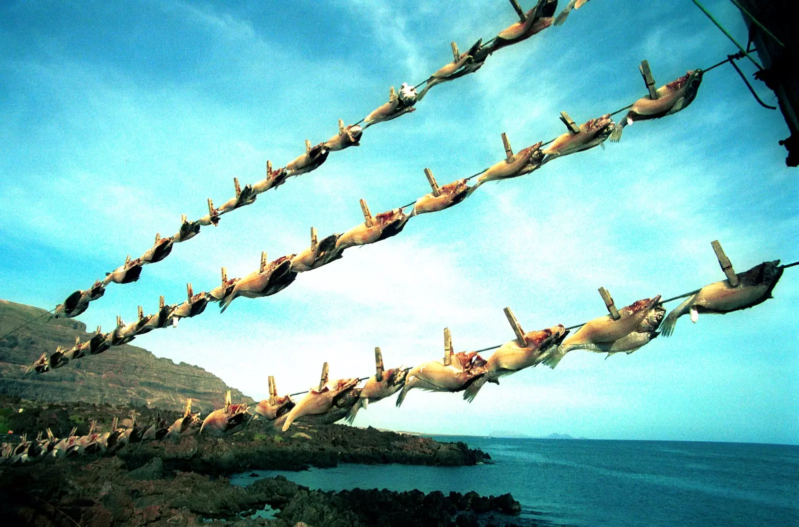 Jarea Tradisional di Lanzarote