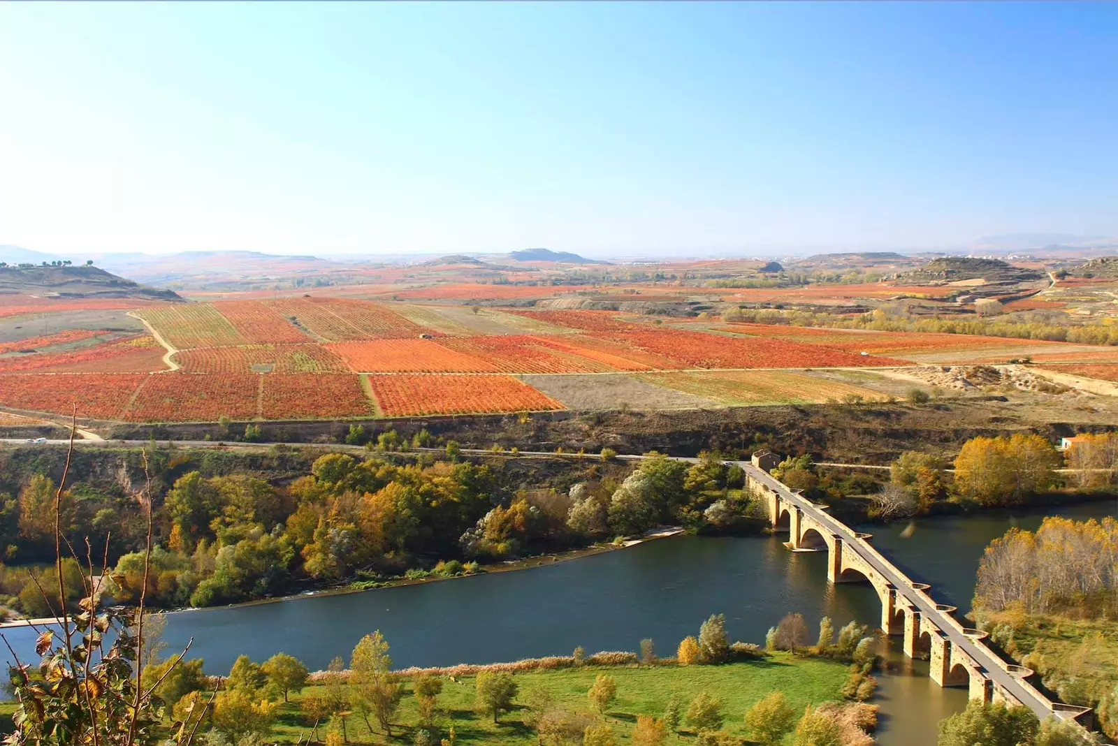 Weinberge in La Rioja