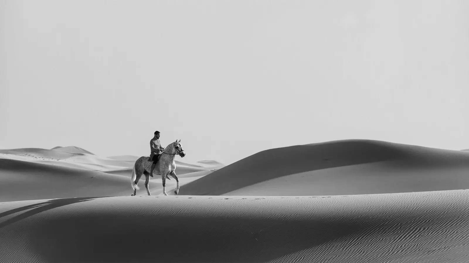 Sadek son cheval et sa nature