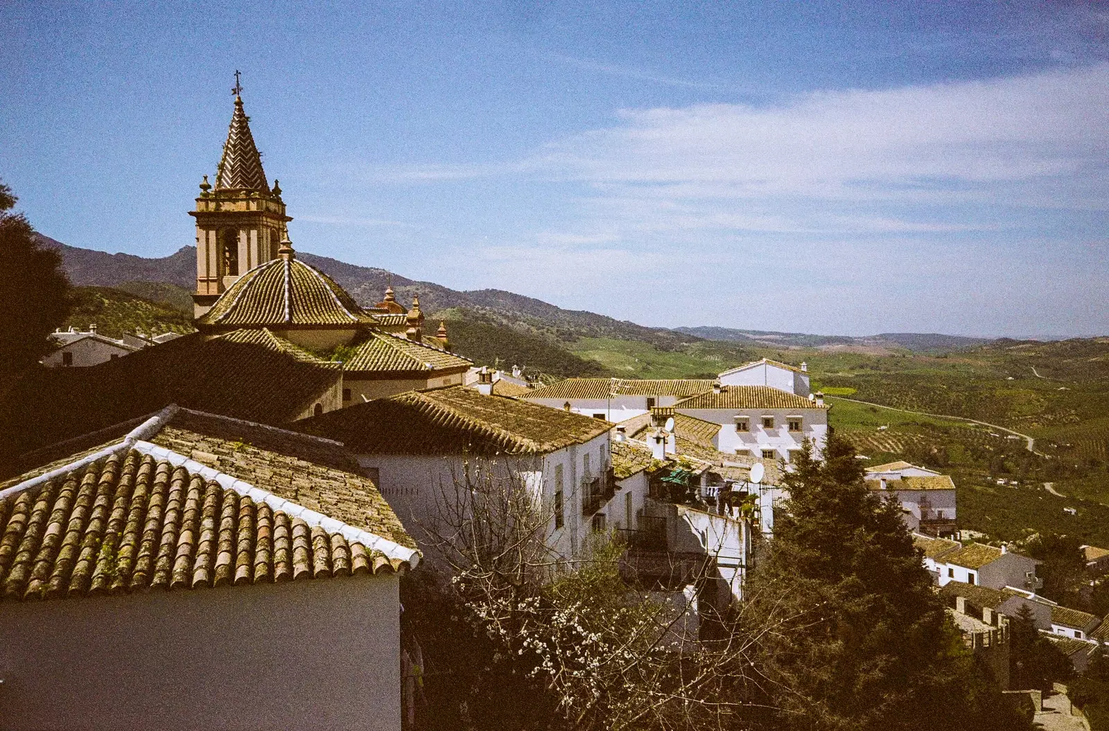 Твоја црква.