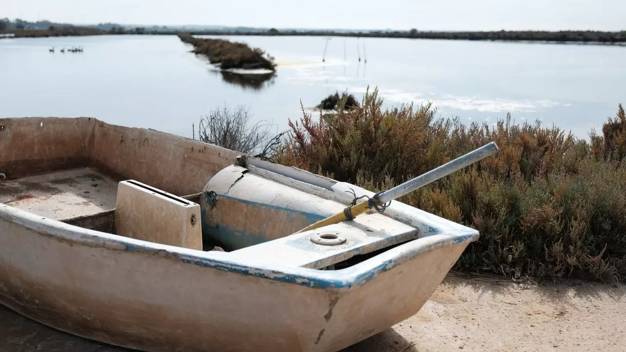 D'Konscht vun der Ernte: tëscht Estuaren a Salzflächen am Häerz vu Cádiz