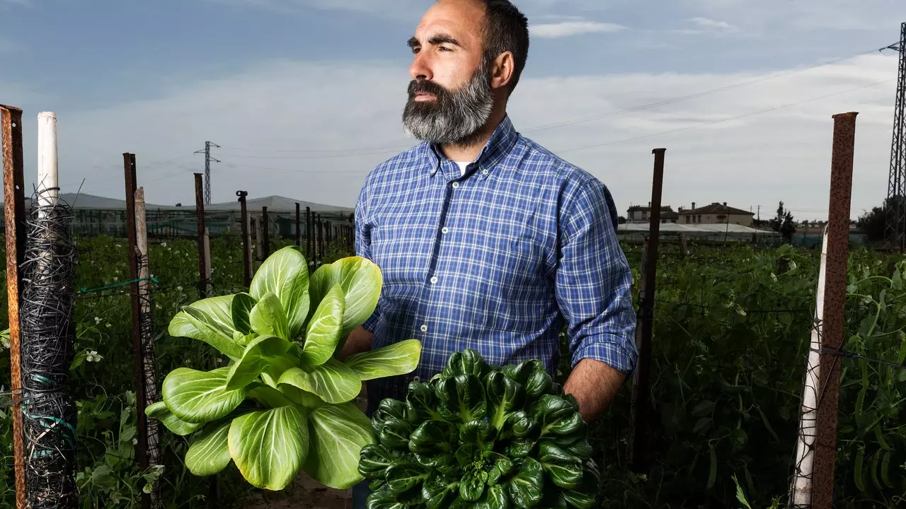 Cultură alungată: proiectul Cadiz care a revoluționat agricultura prin design și durabilitate