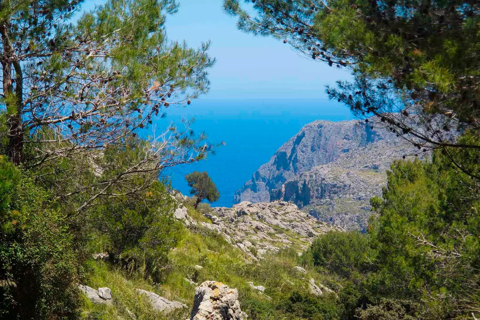 Ecco come appare il burrone dalla terraferma