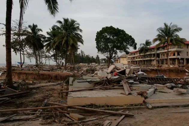 Zo zag het gebied eruit na de tsunami