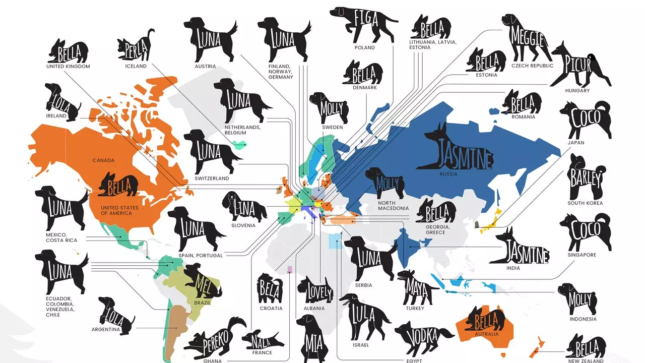 各国で最も人気のある犬の名前を示すマップ