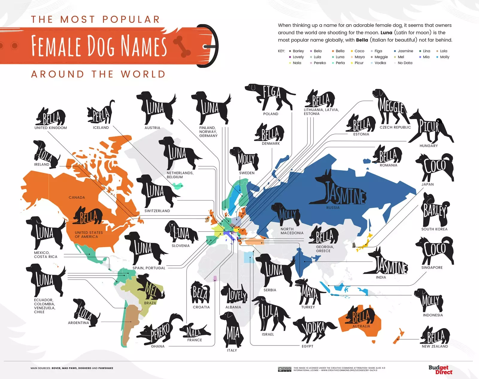 Luna and Bella are the most popular dog names in the world.