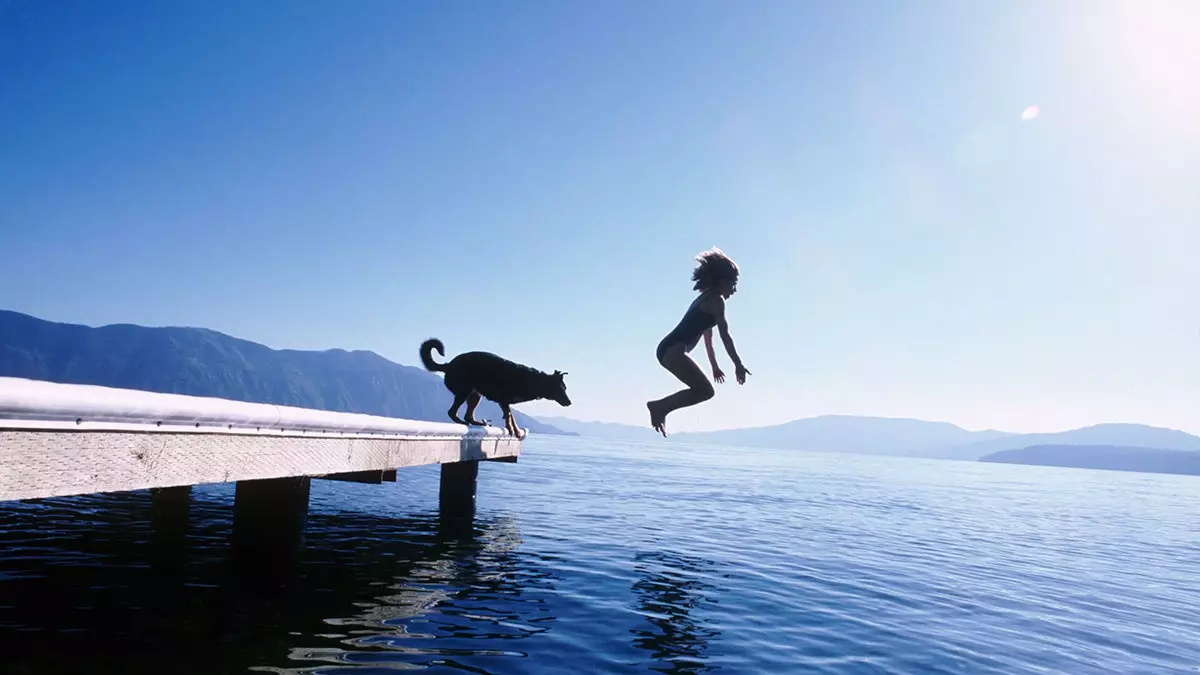 Ταξιδεύοντας με σκύλους (ένα γράμμα αγάπης)