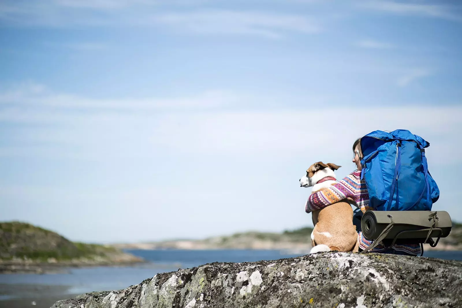 Câinii își primesc deja Compostela la sfârșitul Camino de Santiago