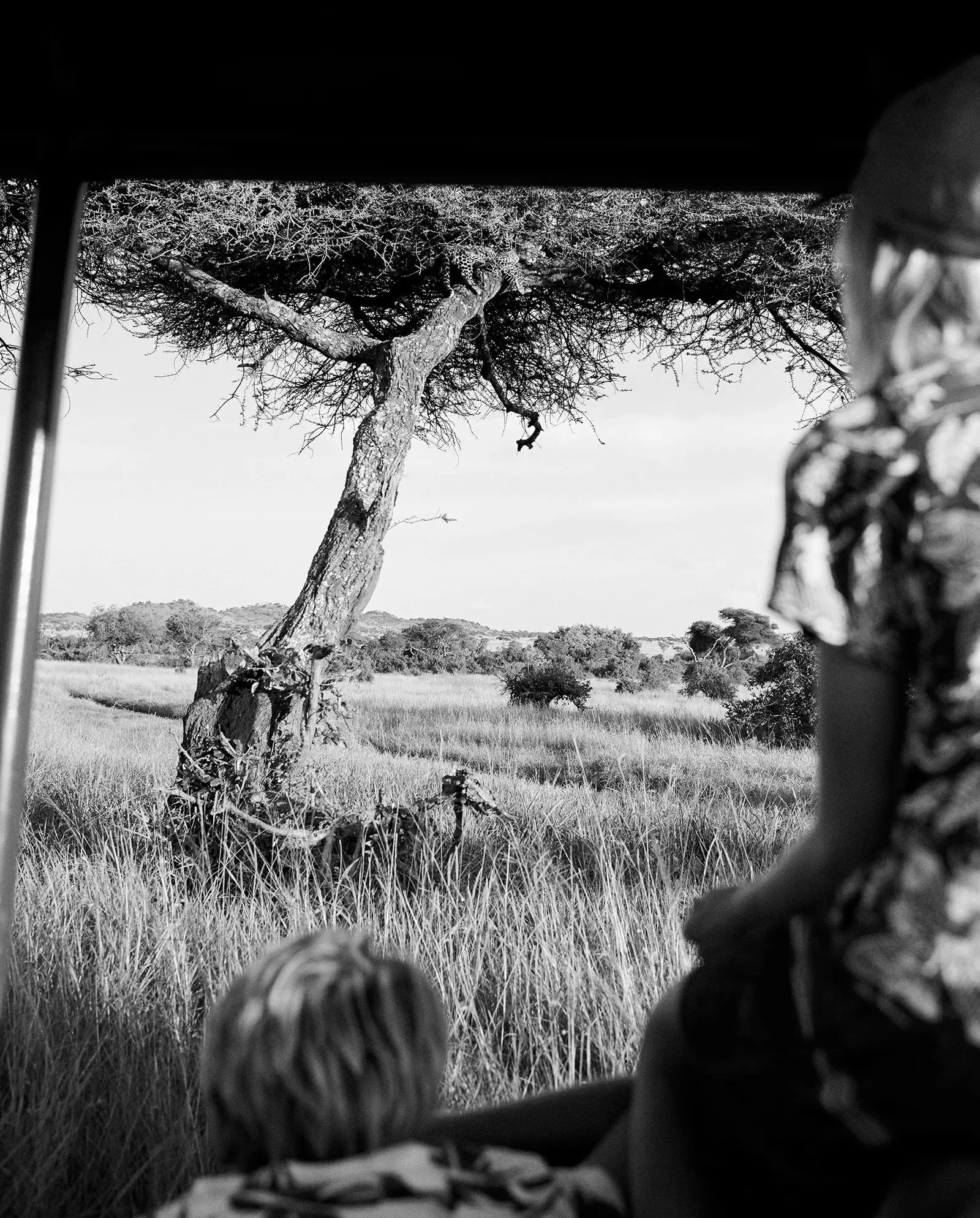 Africa had to be the adventure of photographer Anne Menke and her family