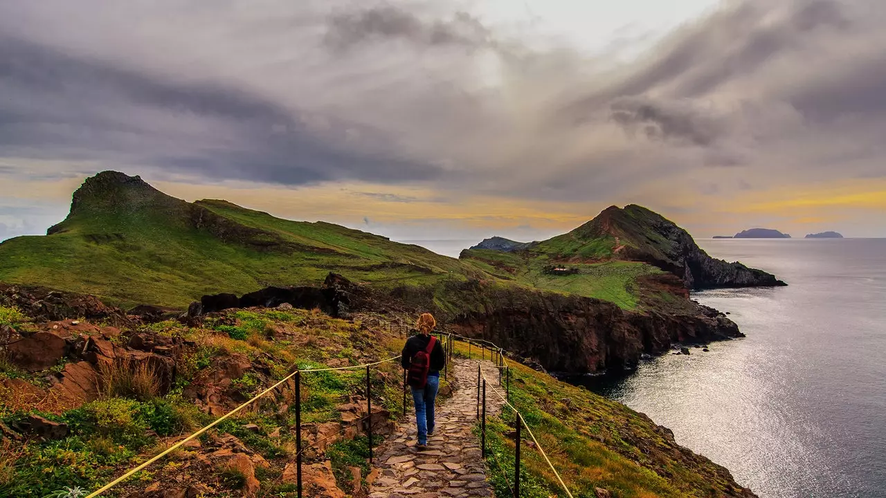 Seven experiences in nature to enjoy Madeira