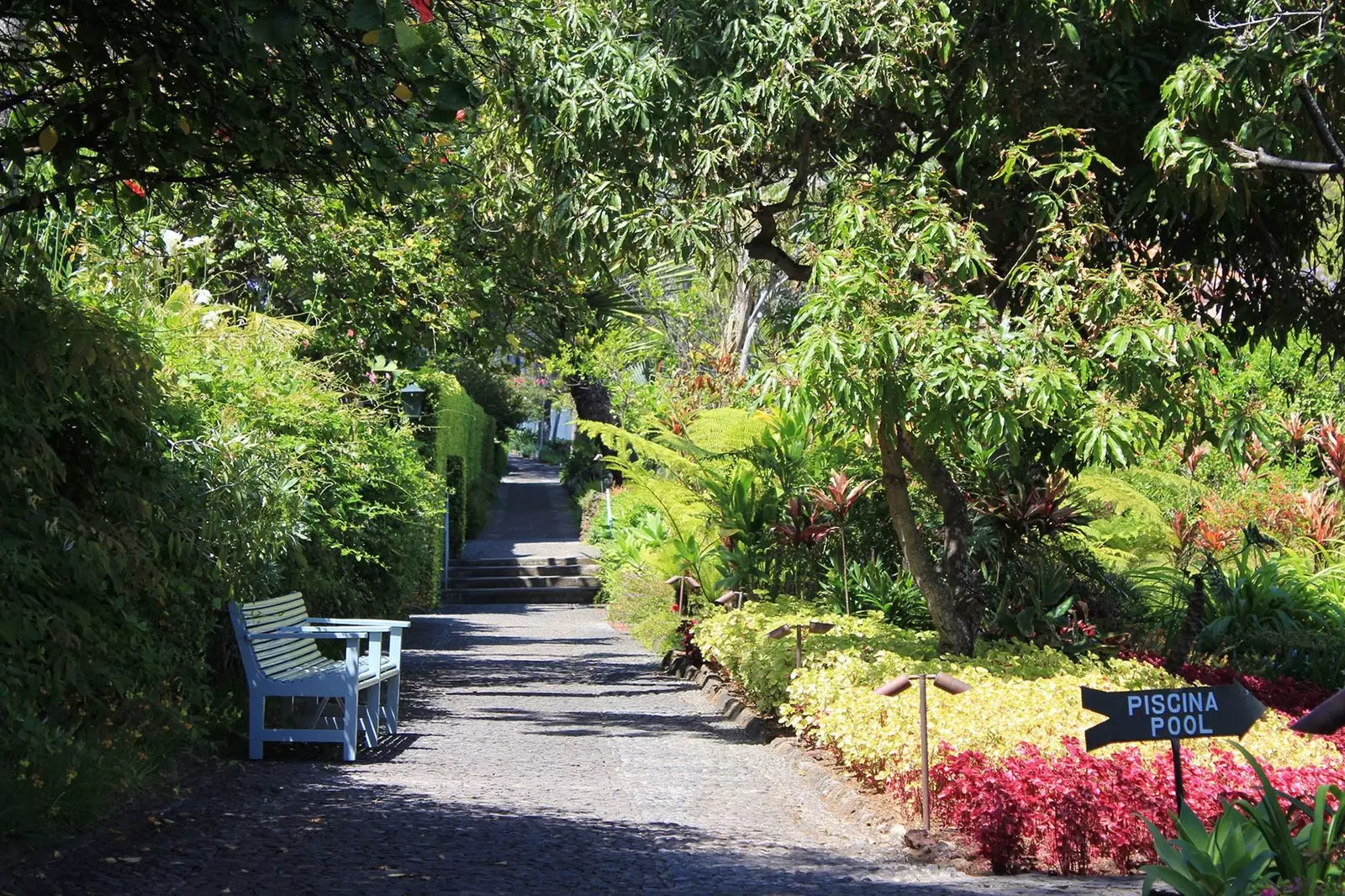 Sete experiências na natureza para desfrutar da Madeira