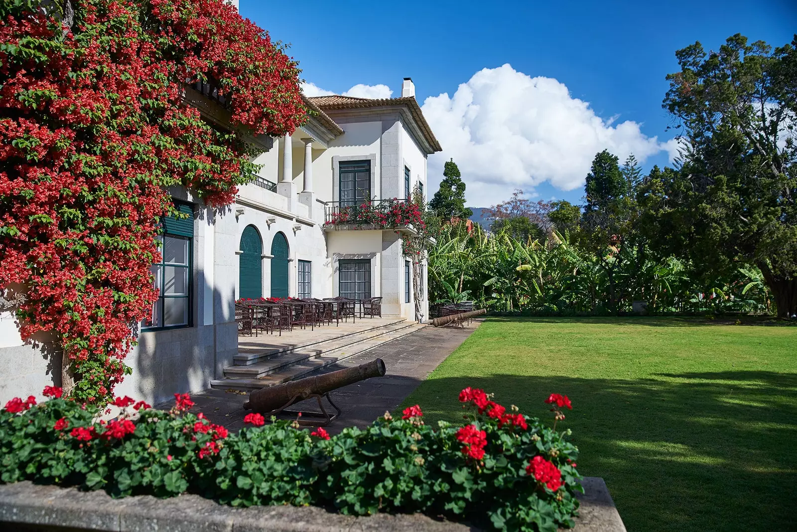 Madeira'nın tadını çıkarmak için doğada yedi deneyim