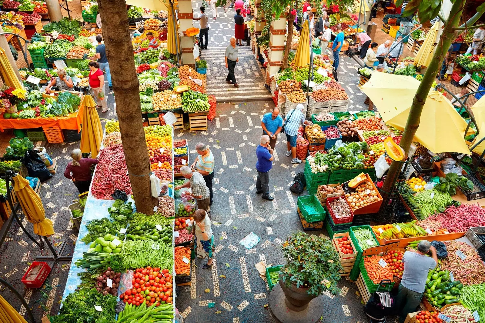 Pasar Petani di Funchal Madeira