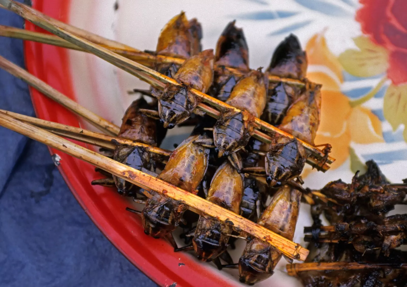 Scarabei alla griglia al mercato di Luang Namtha.