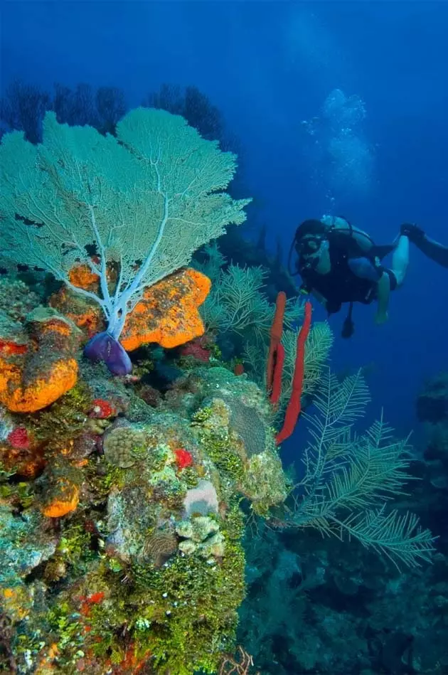 Questo sei tu alla scoperta di una delle meraviglie naturali del mondo