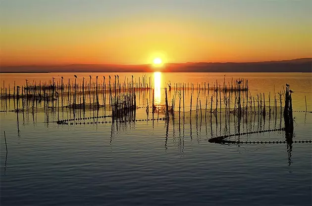 Albufera ရှိ ဤနေရောင်သည် နှလုံးကို ကျယ်စေသည်။